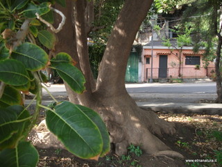 uccio-13-11-2012 09-31-53
